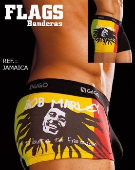 Gigo Jamaica Boxer