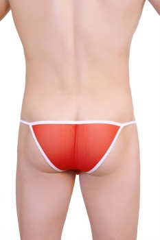 PetitQ1-1 Kini sheer red Gr.S