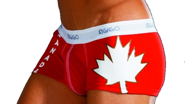 Gigo Canada Boxer